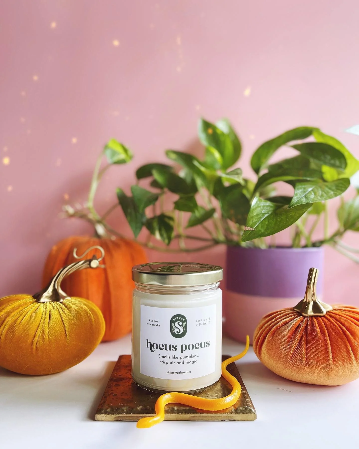 Best Seller Hocus Pocus sold out over the weekend, but I&rsquo;ve already got more added to the shop! 🎉 

It&rsquo;s been a little cool here in the morning and I&rsquo;m so excited for the mosquitoes to die! 🍂🎃👻 #fallyall #hocuspocus #hocuspocus2