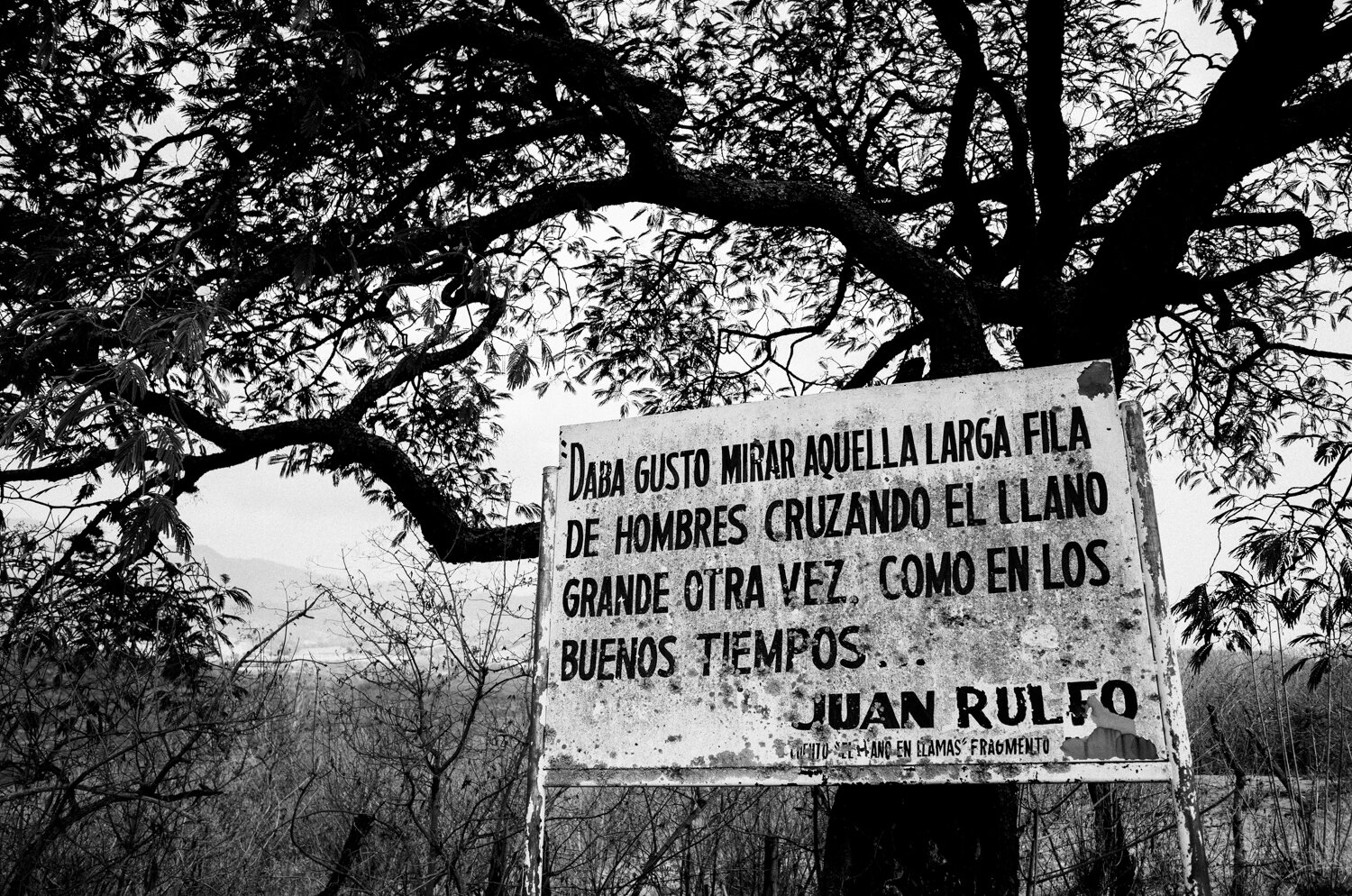 Mexico_Website_001.jpg