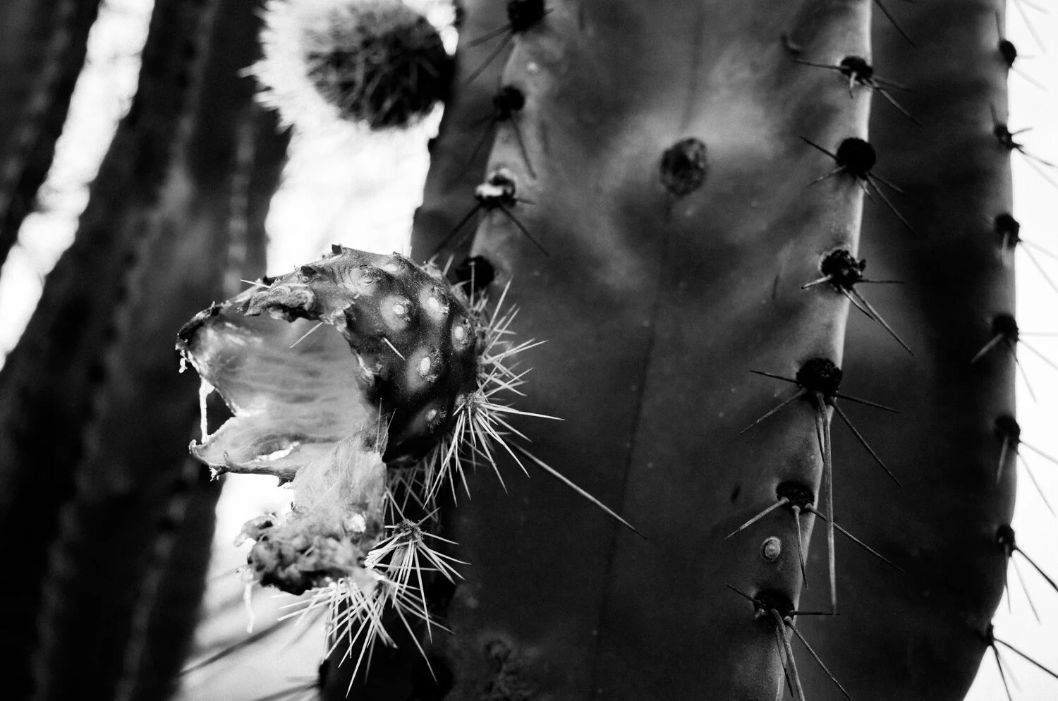 Mexico_Website_007.jpg