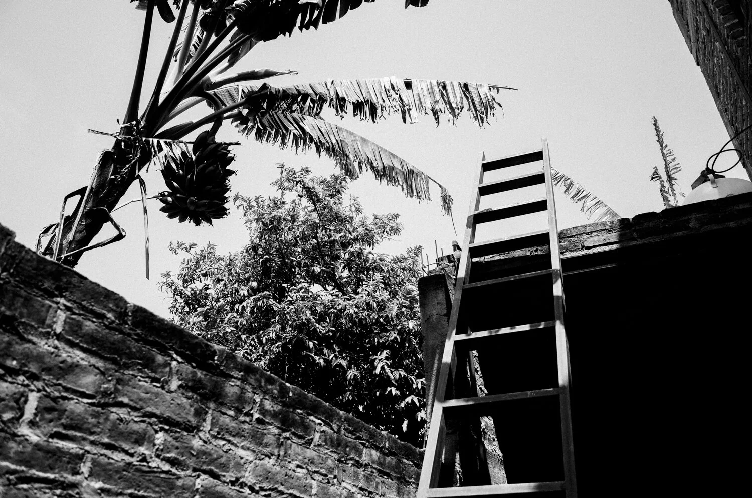 Mexico_Website_011.jpg