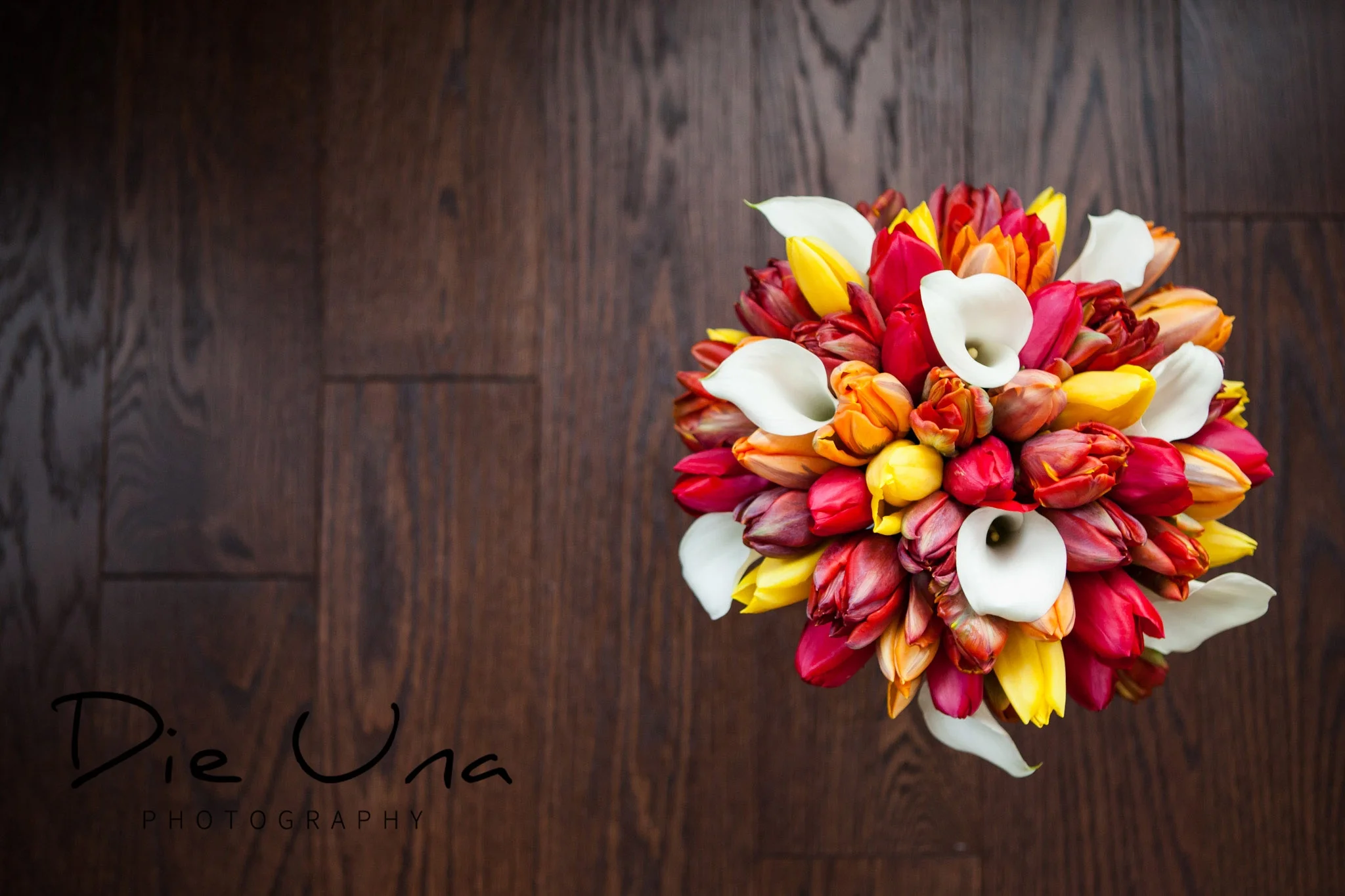 Nicole + Alex Guelph Wedding