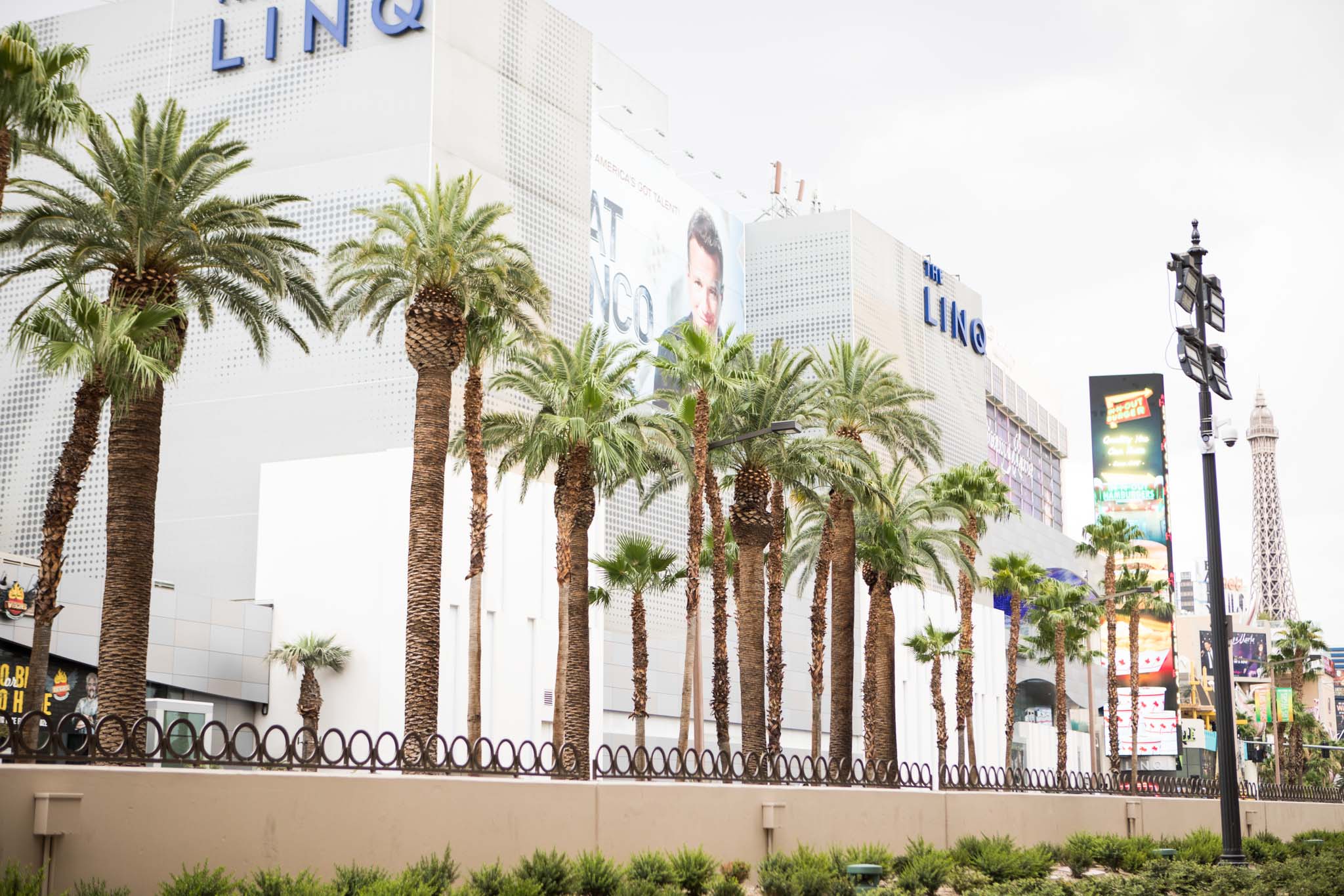 palm trees on the Strip in front of The Linq.jpg