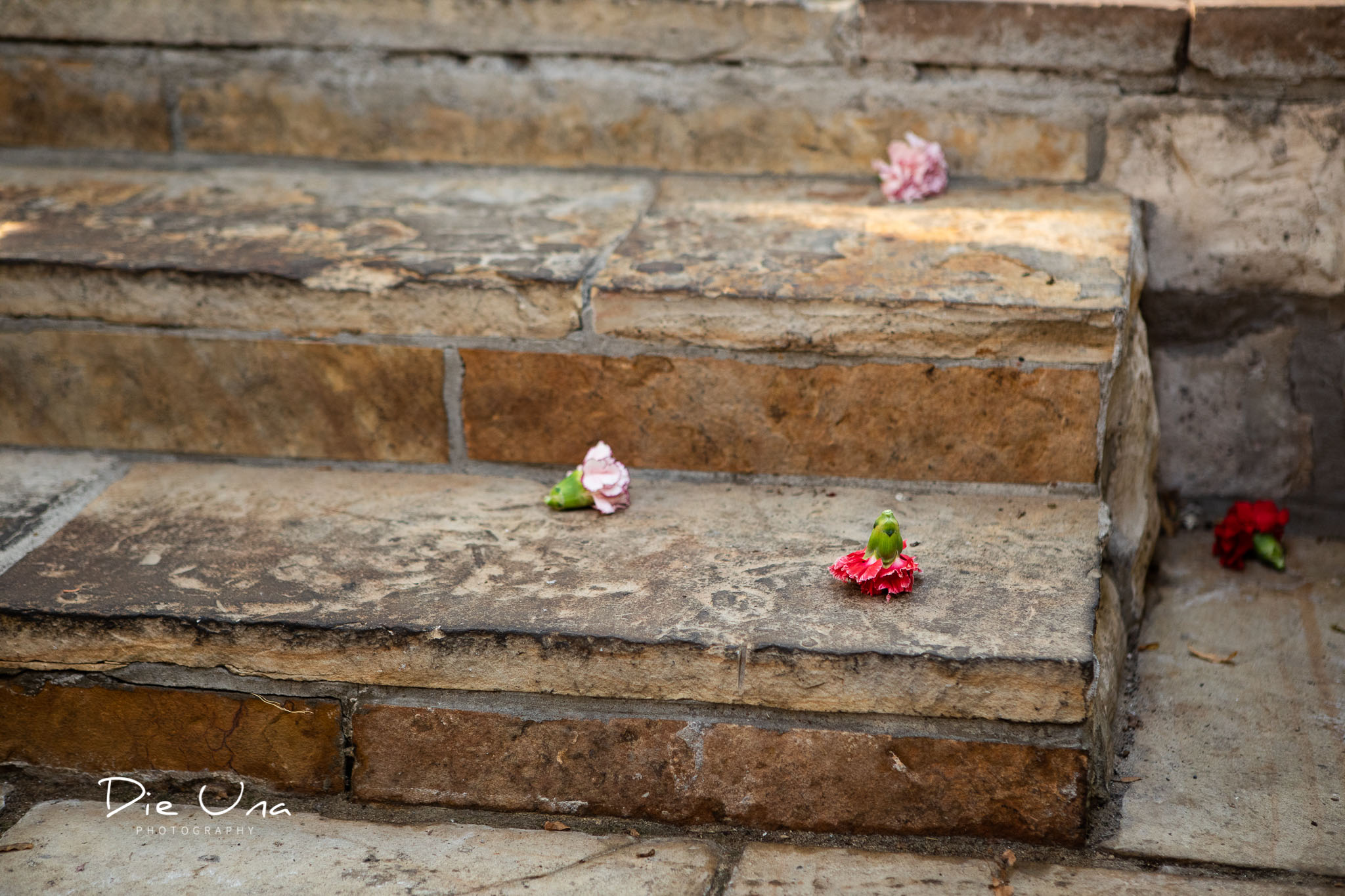 celebration flowers on the stairs thrown during wedding ceremony.jpg