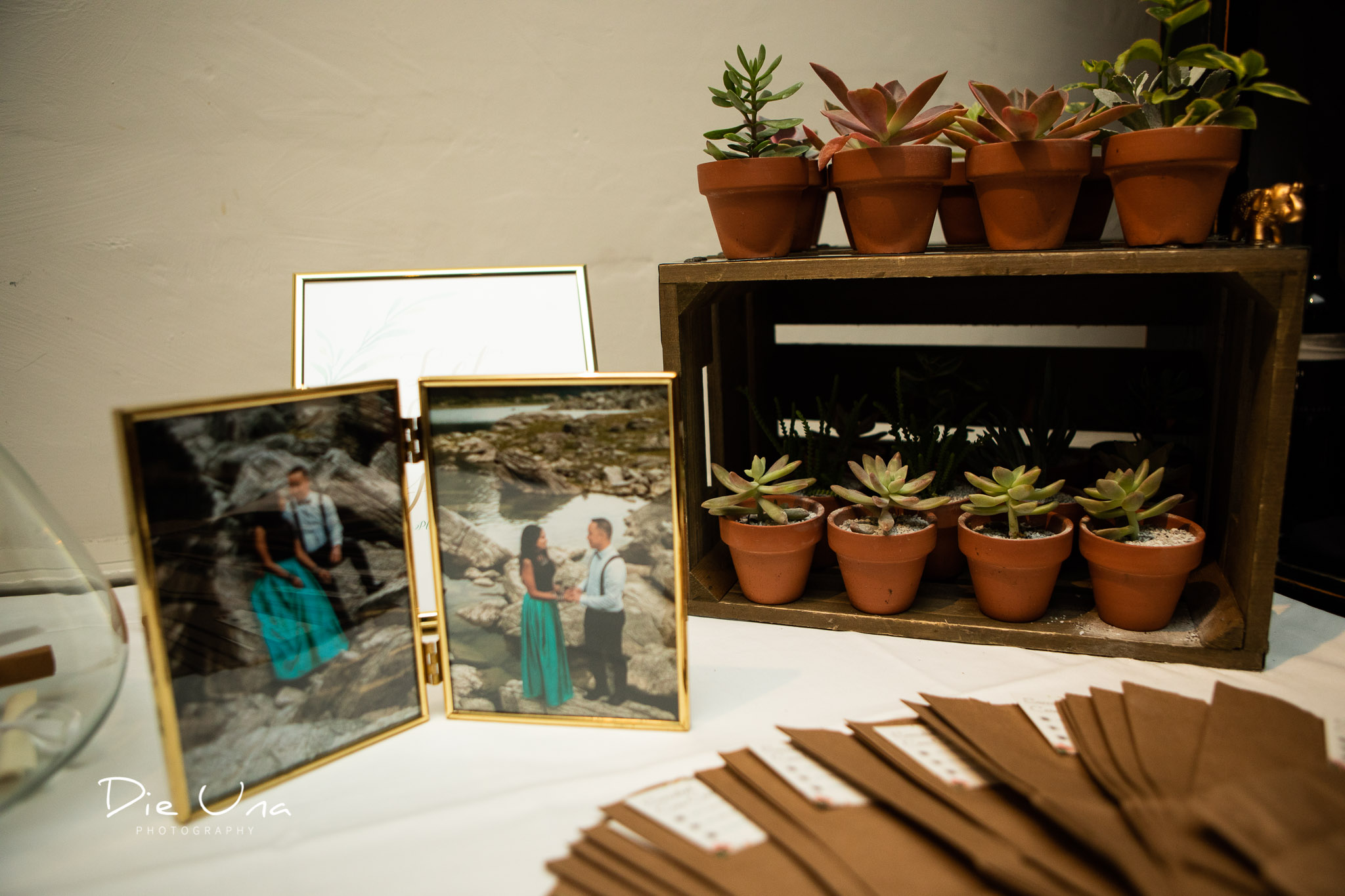 wedding details at reception with tiny succulents.jpg