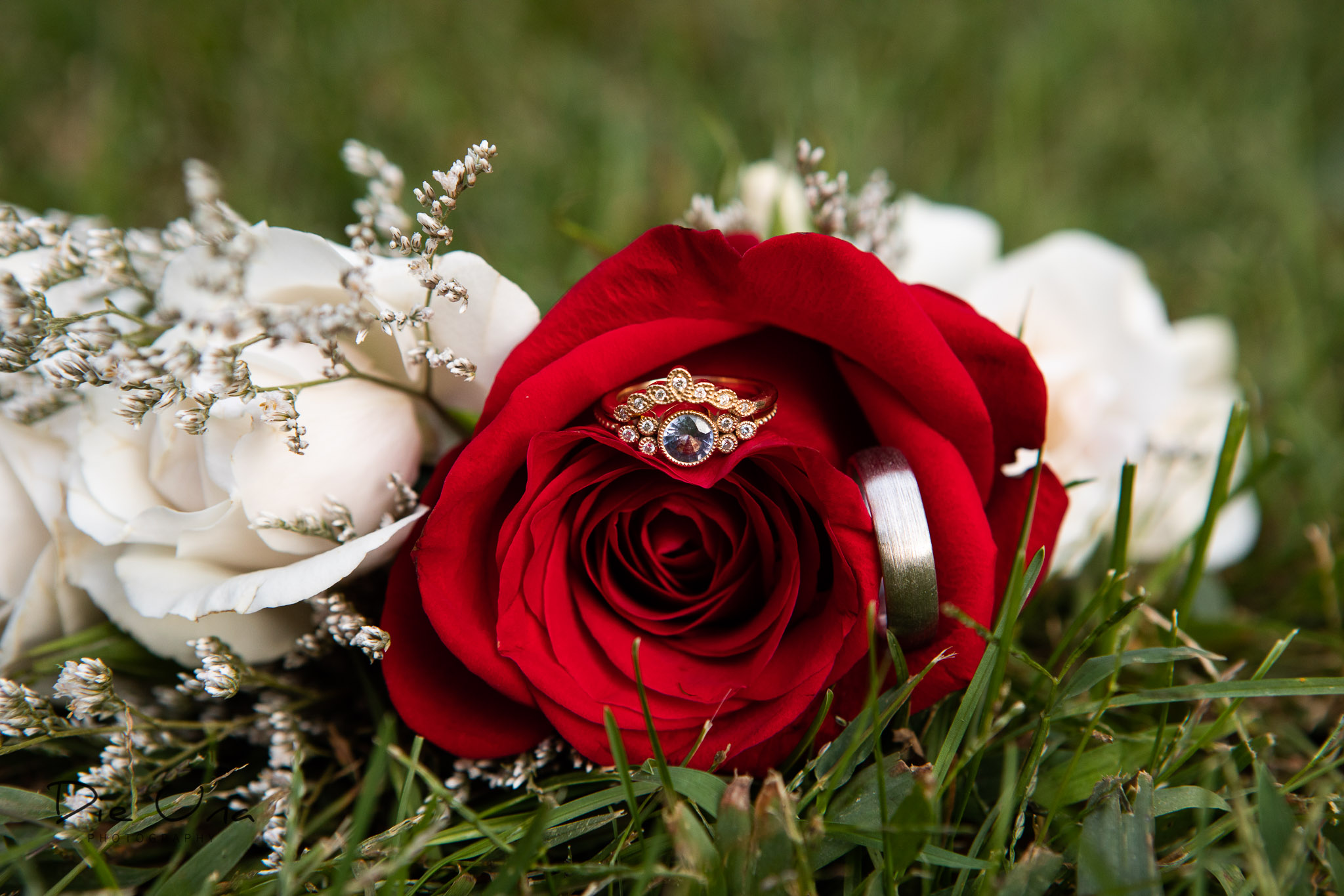 wedding rings in red and white flower bouquet.jpg