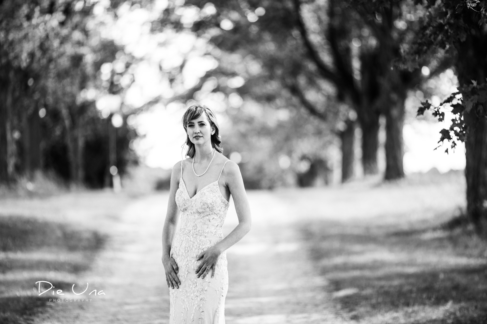 black and white portrat of bride on a tree lined driveway.jpg