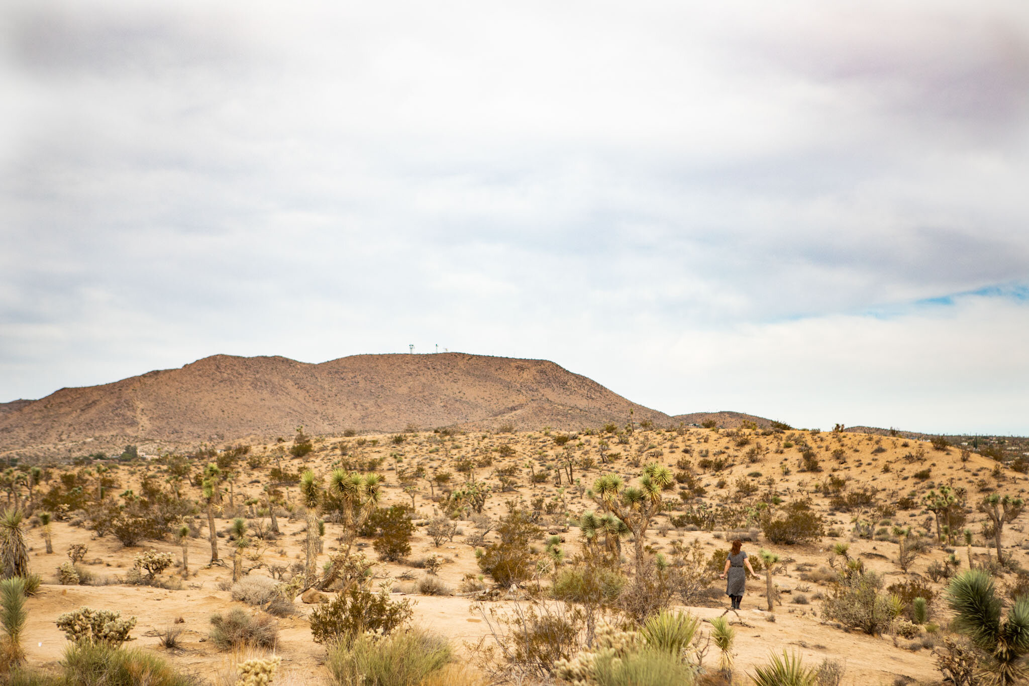 landscape image of Joshua Tree desert with Sheila Eden taking a moment to herself during the promoting passion convention 2018.jpg