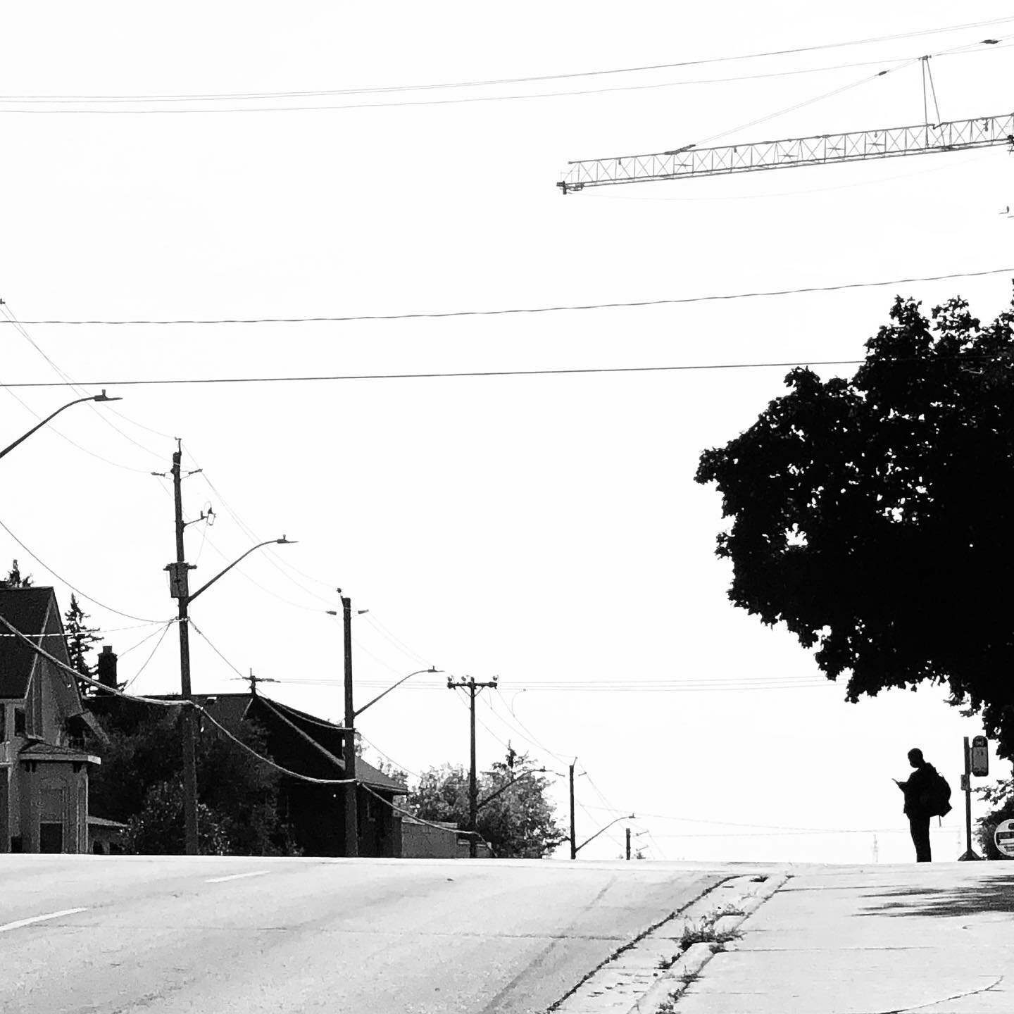 This hill almost always provides really cool silhouette opportunities.