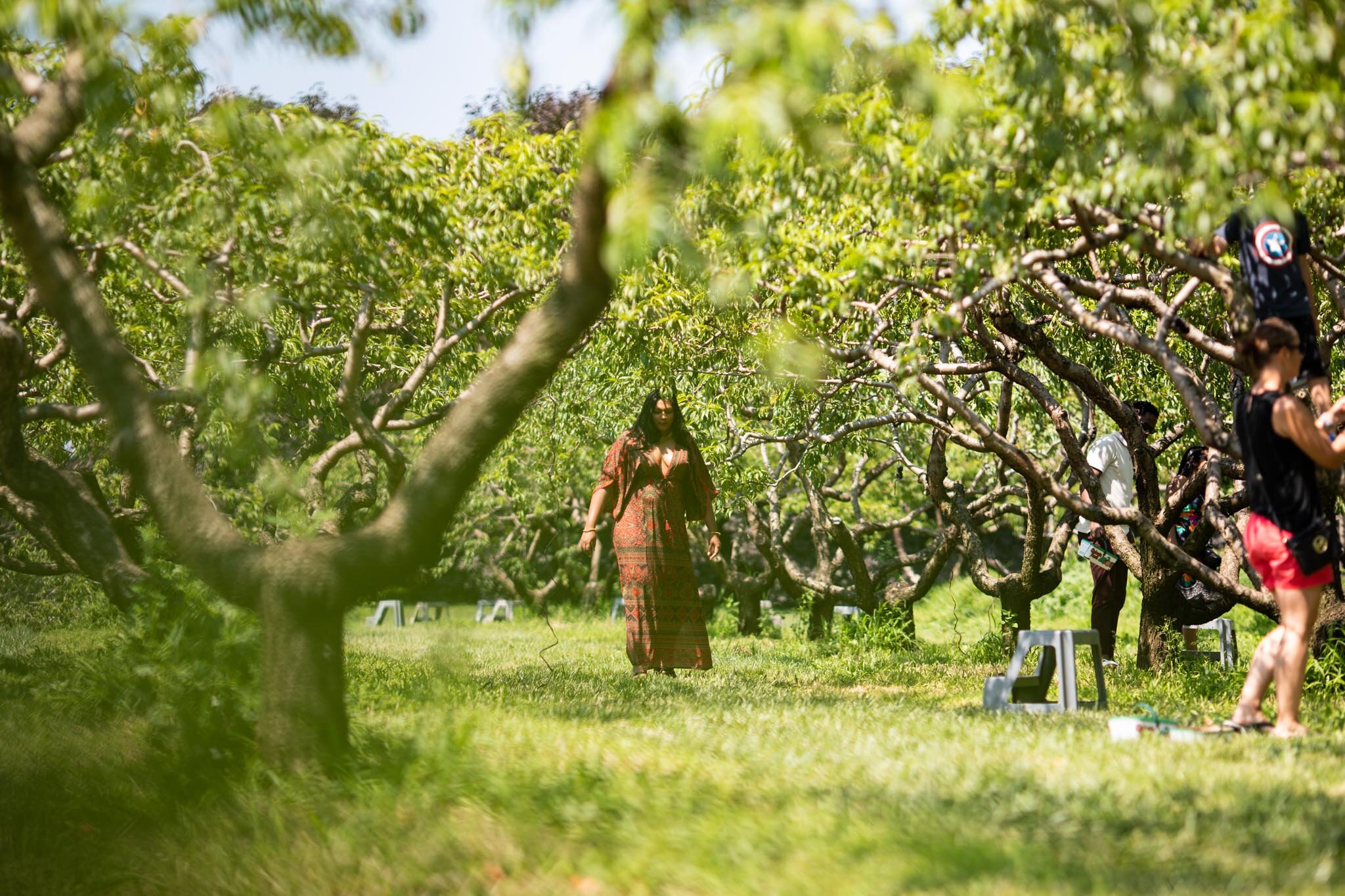 Brown woman in a beautiful dress in a peach orchard at Cherry Avenue Farms Ontario.jpg