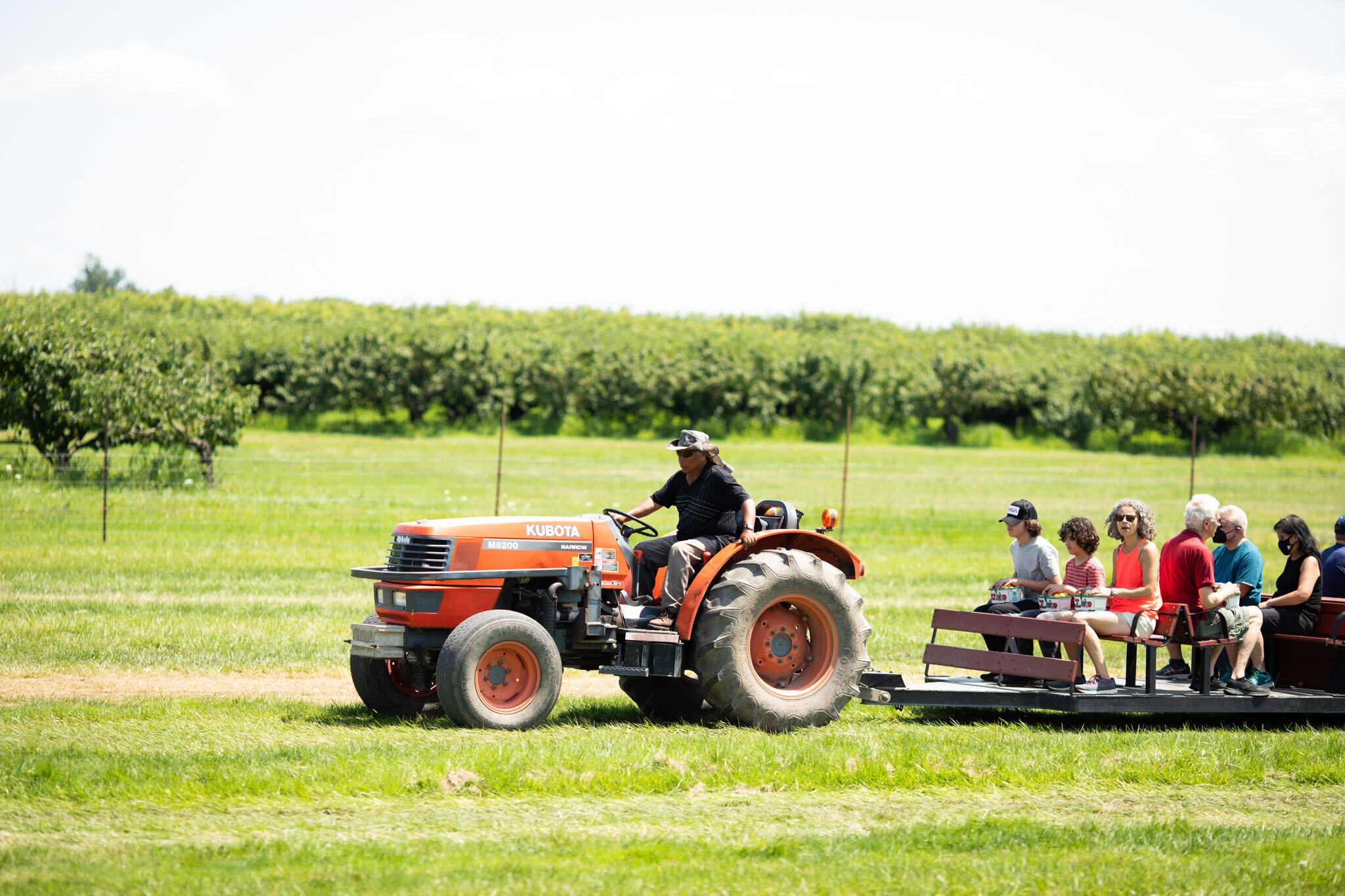 tractor pulling people on a trailer at Cherry Avenue Farms Ontario.jpg