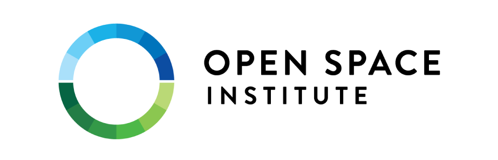 132_open-space-institute-identity-design-by-drew-heffron-logo.png