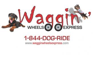 Are you a dog lover? Are you not able to get a pooch simply because your life is too busy to even drive him/her to a doggie day care? Or maybe you just need a break from your hectic schedule while your pup visits a doggie spa or groomer? Maybe you just don’t want to get your car dirty? What if there was someone that would come, pick up your dog, chauffeur him/her to your desired service provider and return him/her home afterwards or after you return home? This is where Waggin' Wheels Express comes in! We also HELP OTHER less fortunate tail waggers by donating a can of dog food to a local shelter for every round trip taken with us! Read our interview with Waggin' Wheels here.