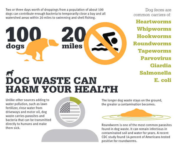 ways dog waste can hurt health