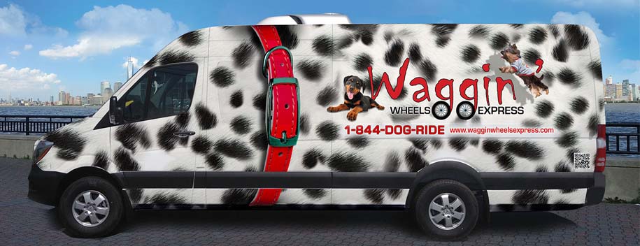 Check out the Waggin' Wheels Express vehicle. It is a 2014 Mercedes Sprinter van with multiple safety features. Justyna and crew chose this vehicle because of the history and reliability of the brand behind it. If you drive luxury vehicles ... now so can your dog! 014 Mercedes Sprinter van because of multiple safety features it offers, as well as because of the history and reliability of the brand behind it. If you drive a luxury car, why can’t your best bud drive in one too