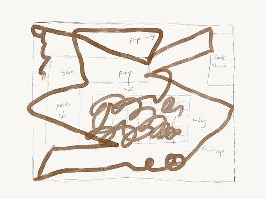 This is a diagram of what happens when a Roomba runs over dog poop.