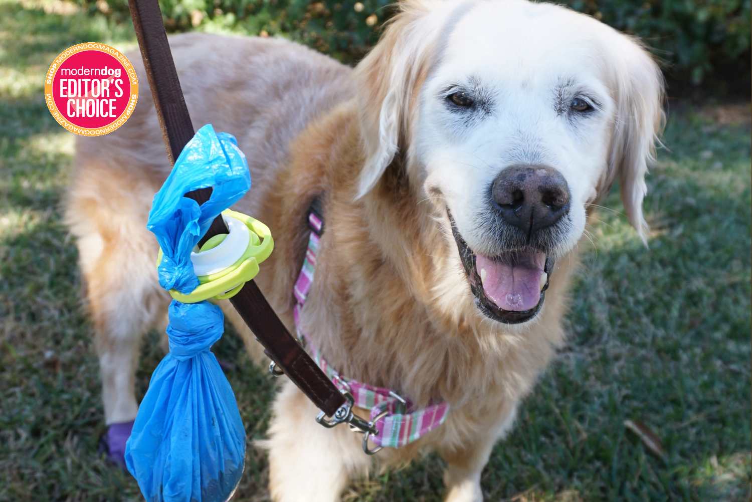 The Fifth Paw allows dog owners to walk their dogs without the stress and annoyance of juggling multiple poop bags.