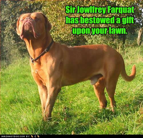 Sir Jowlfrey Farquad has bestowed a gift upon your lawn.