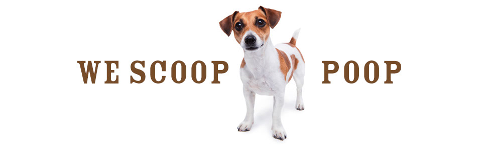 dog poop cleaning company