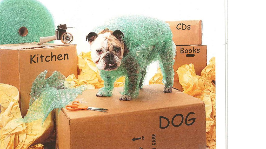 dog dogs dogsforlife dogcare dogfun doggo doggies doghealth dogoftheday doglovers dogpictures dogpic dogportrait dogsoftwitter dogsofinstagram dogstagram dogloversofinstagram dogsoftwitter dogpoop dogpoopremoval dogpooppickup doggiepooperscooper pickingupdogpoop poopscoopservice dogpoopscooper poopscooping pooperscooperbusiness dogpoopcleanup dogpoopservice pooperscooper dogwasteremoval dogpoopservices