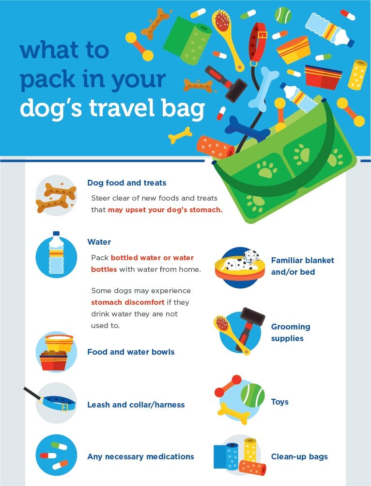 dog travel, dog transport, dog hotels, pet-friendly accommodations, traveling with a dog, pet-friendly hotel, traveling for the holidays, boarding kennel, pet policies, 