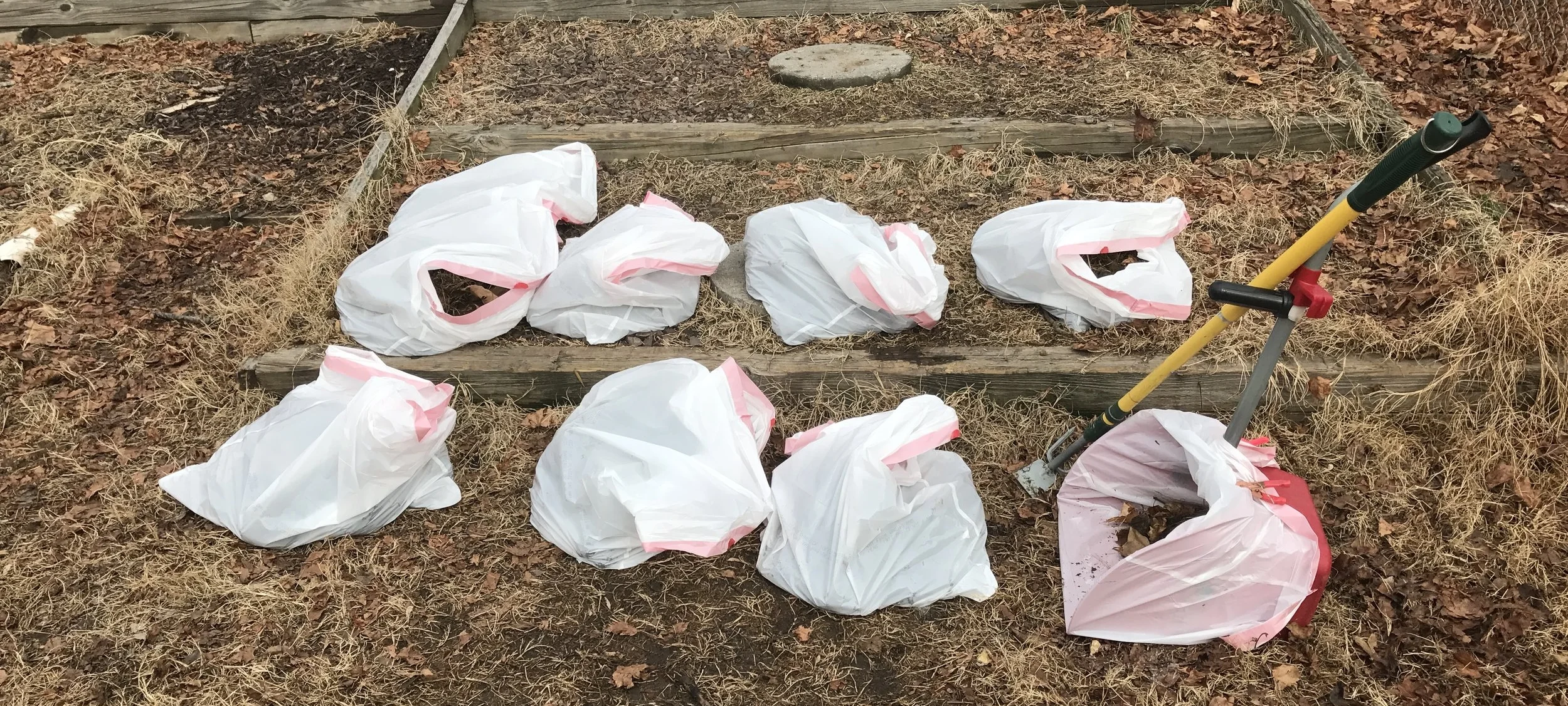 8bagsofPoop.jpg