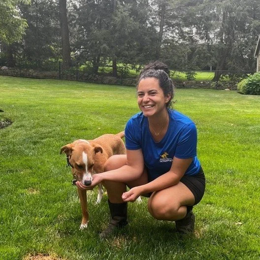 Big Business Scoopers employee with a dog