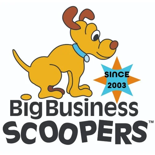 Big Business Scoopers