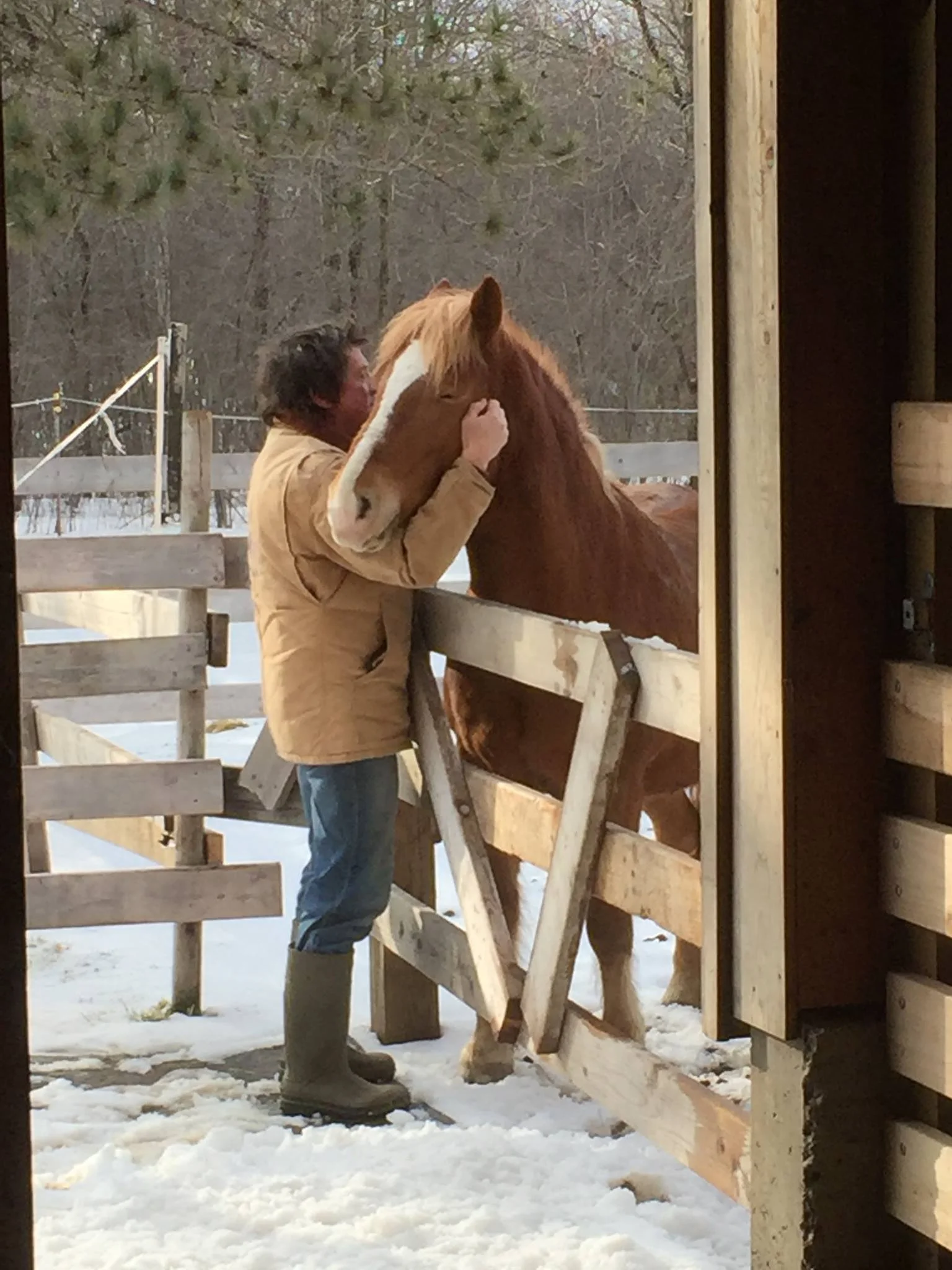 Farrview Farms Sound Journey + Meditation