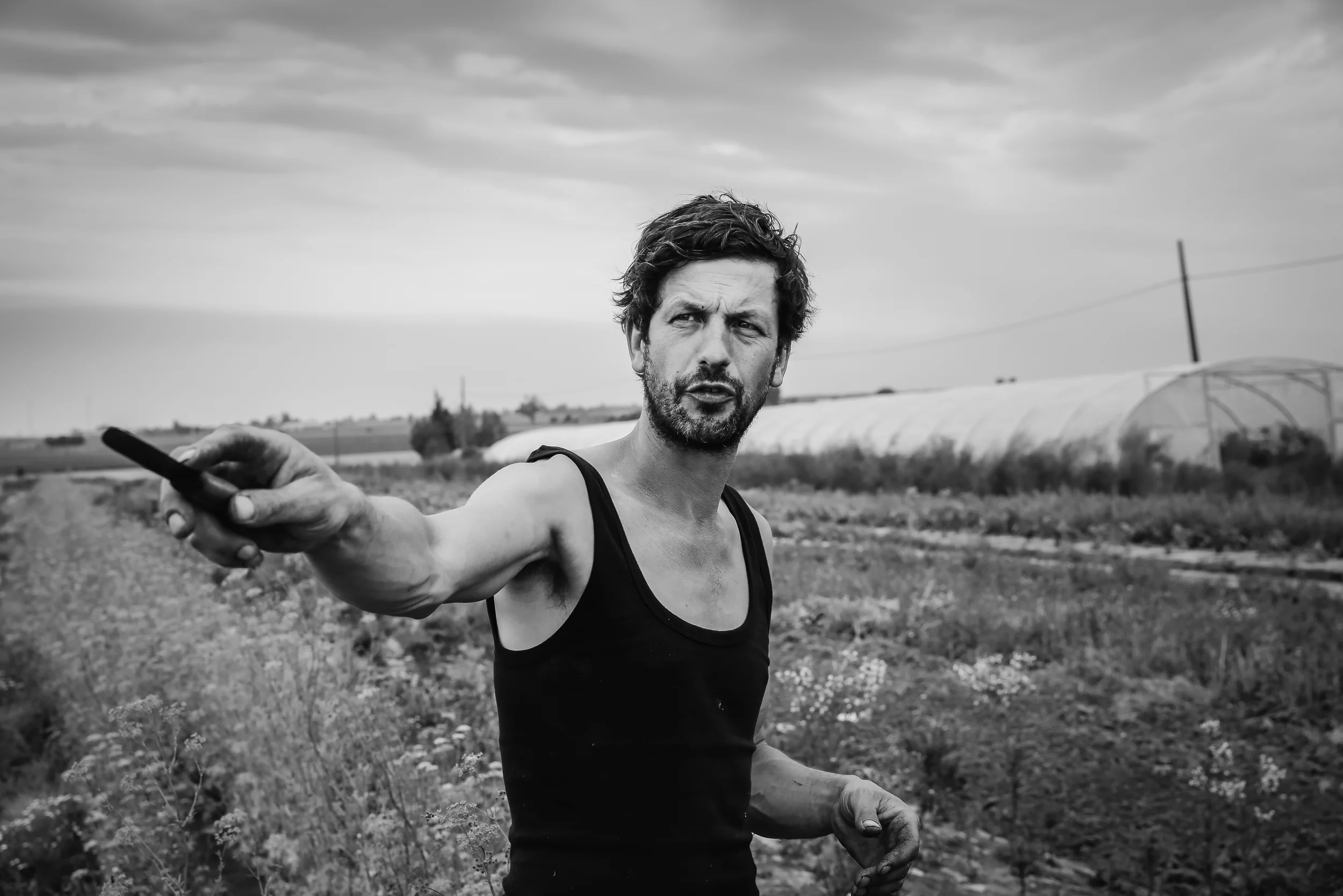 Dries Delanote