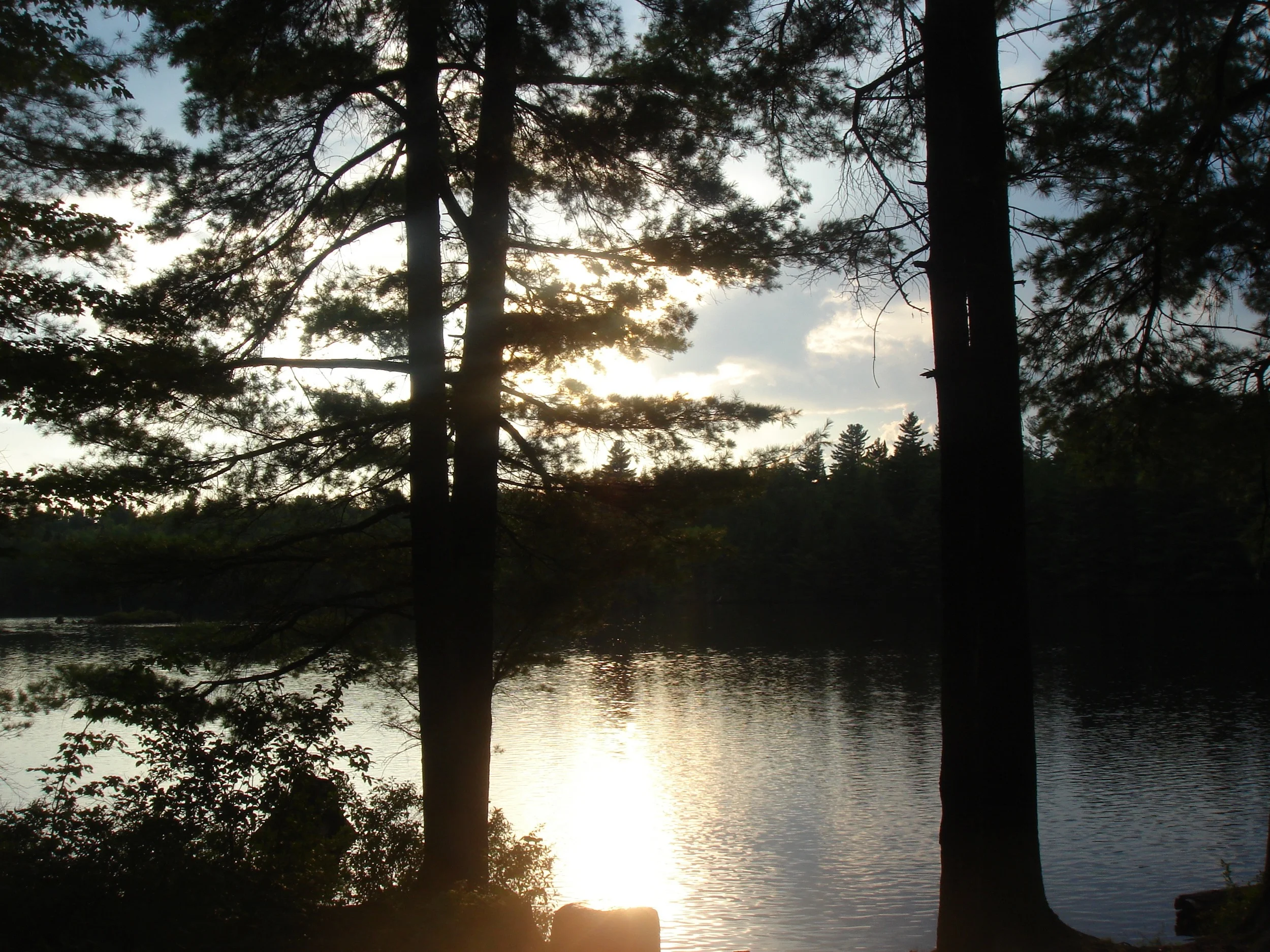 DSC07290.jpg