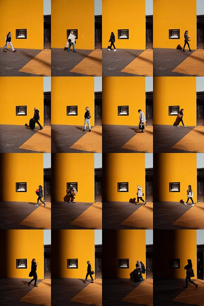 Bick_MovementStudies_13.jpg