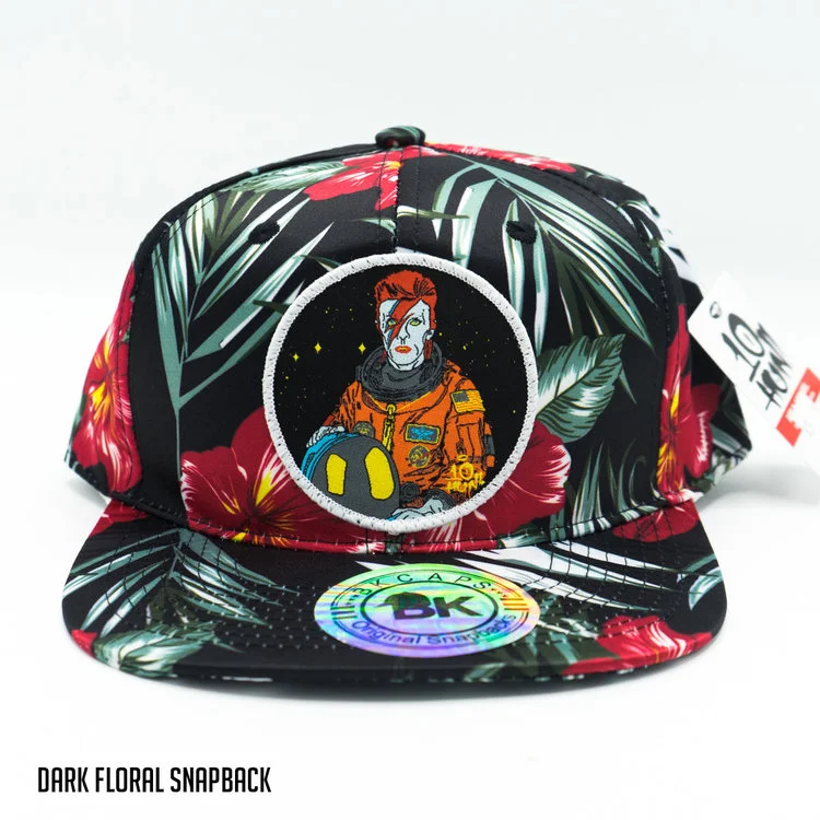 Space Bowie H 17.jpg