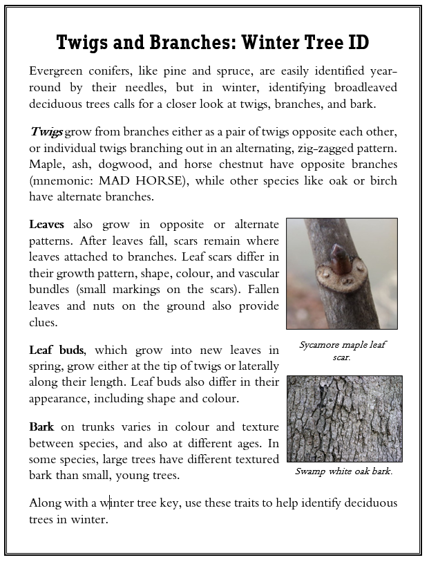 Sci Writing Sample_Trees.PNG