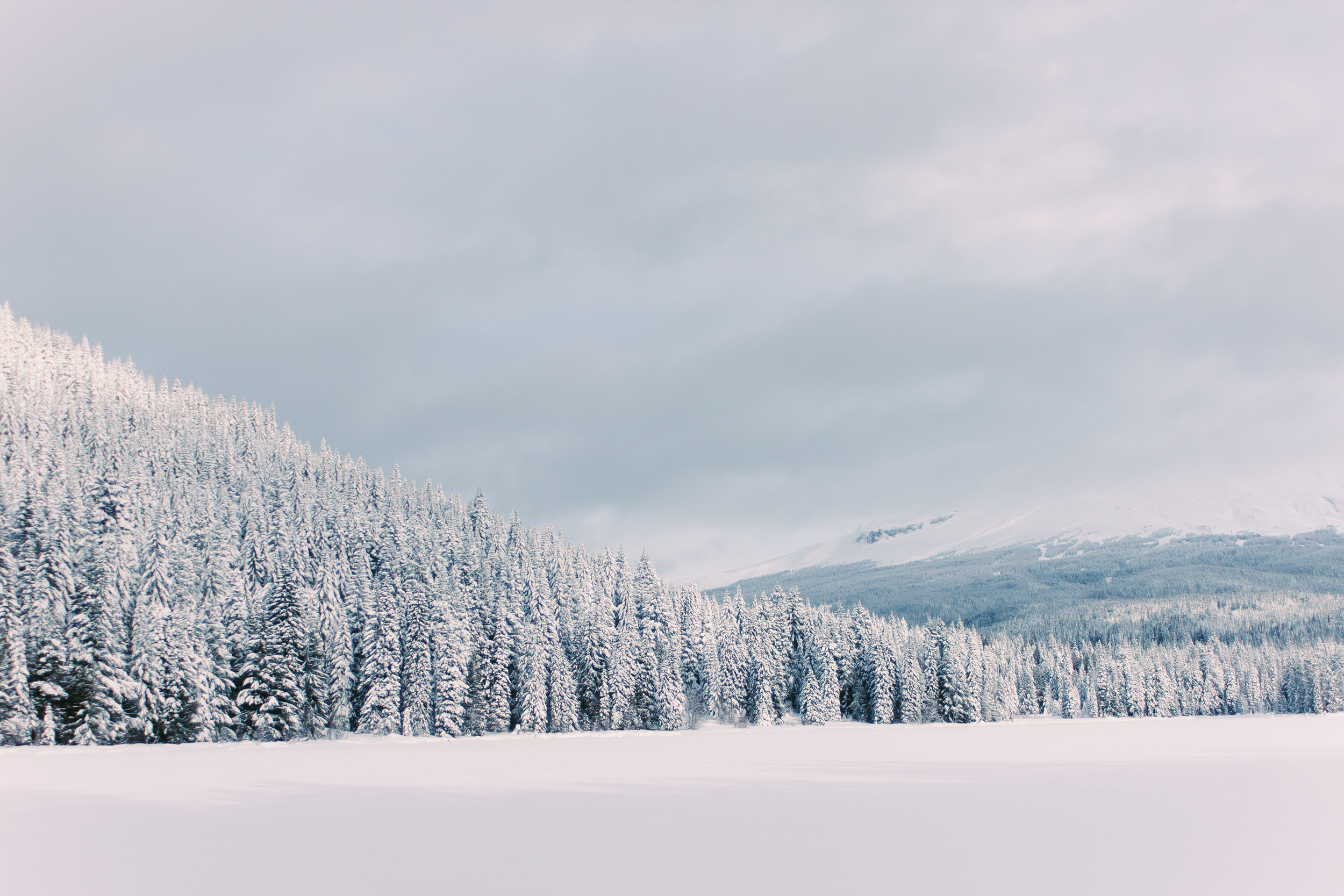 Winter-3.jpg
