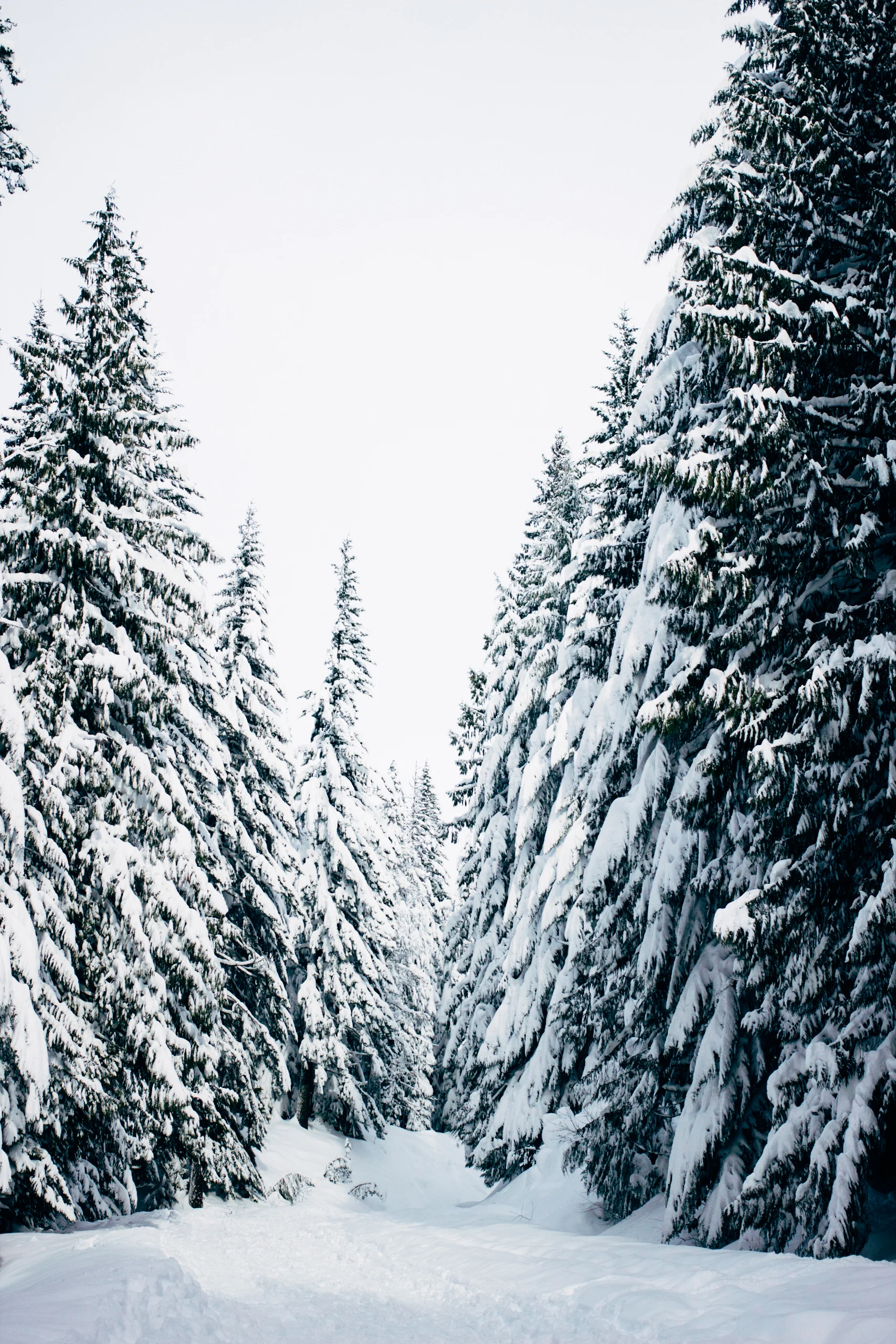 Winter-2.jpg