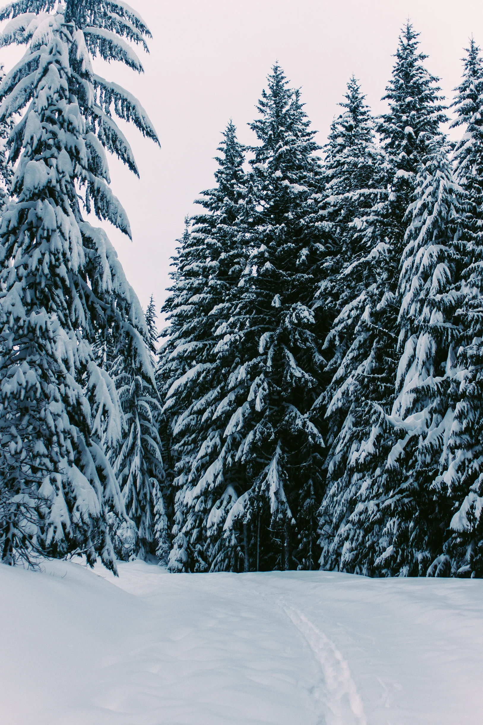 Winter.jpg