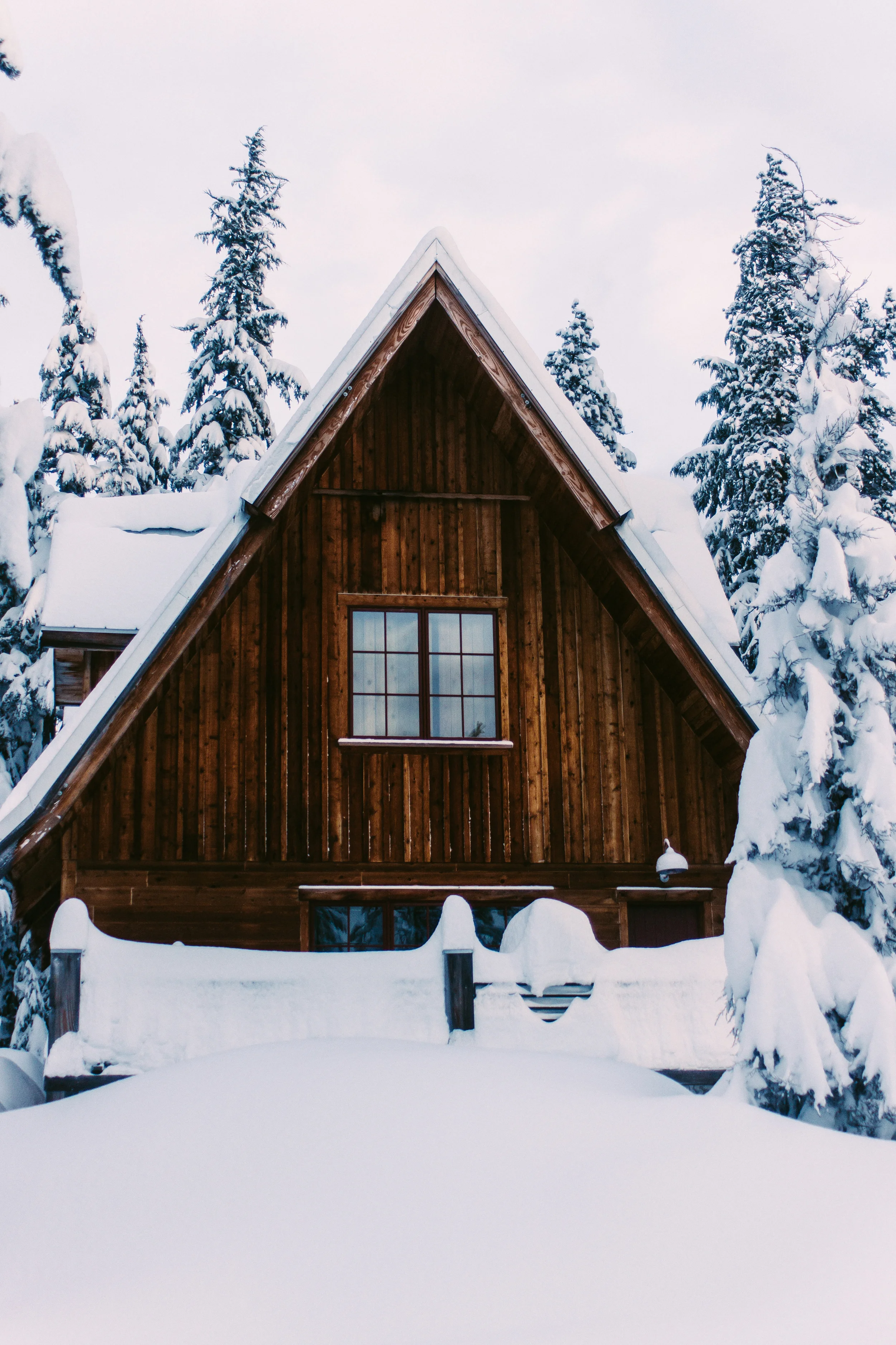 Cabin2.jpg