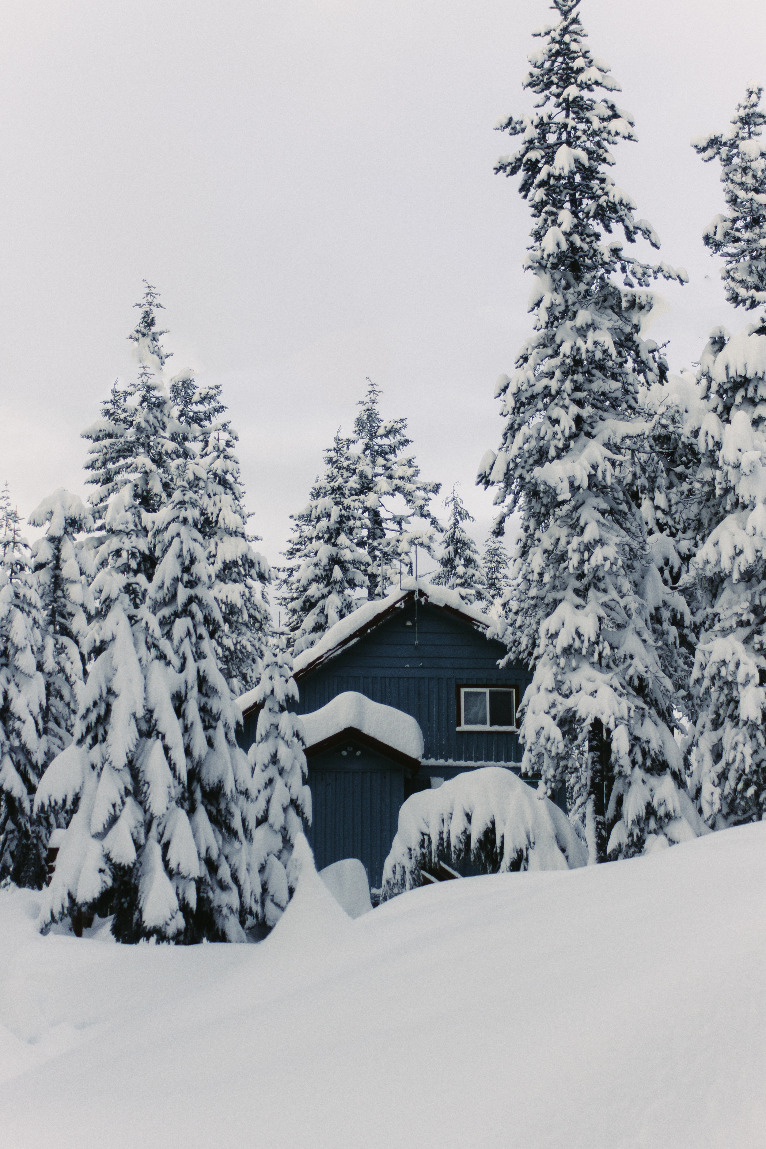 Cabin.jpg
