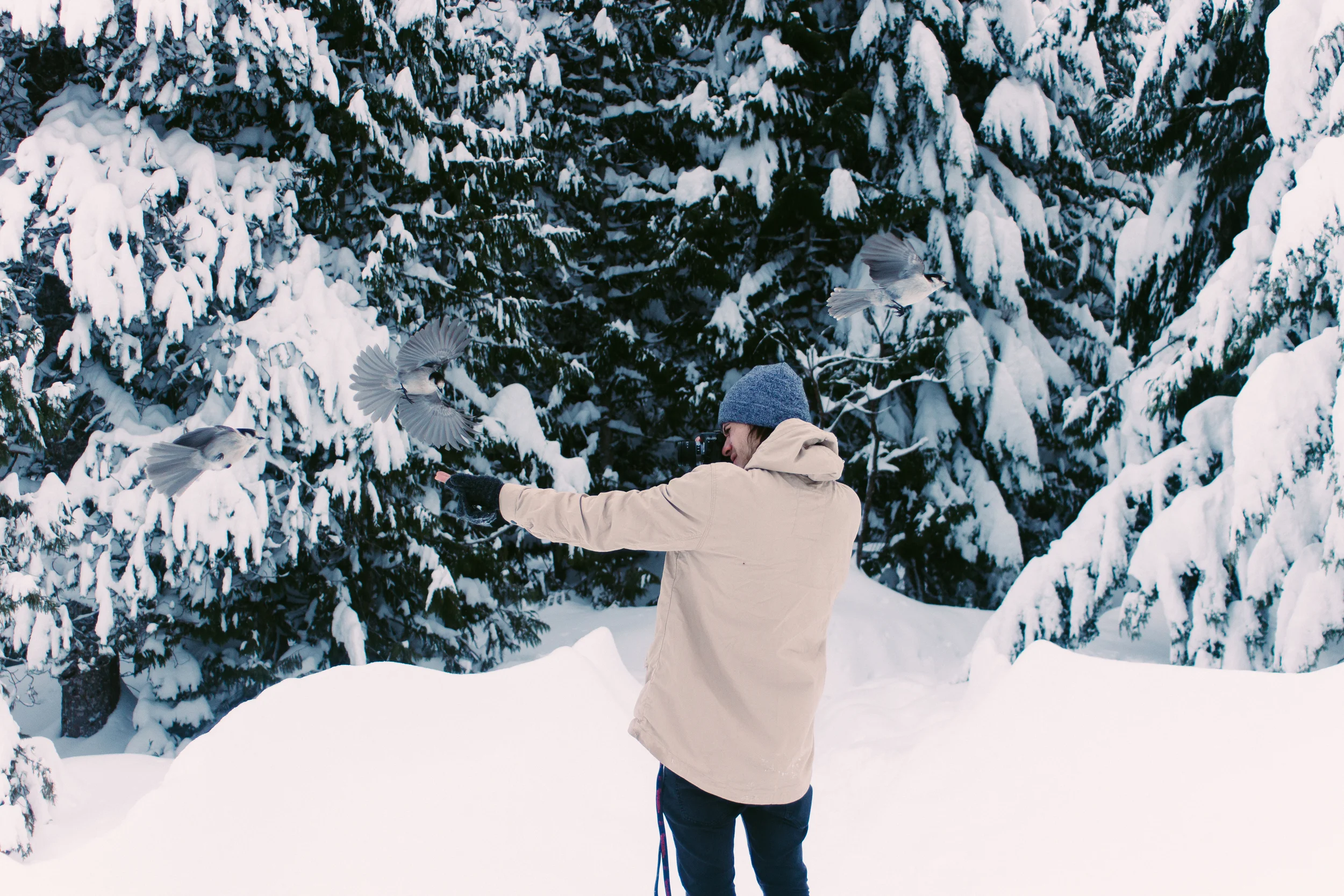 Winter-5.jpg