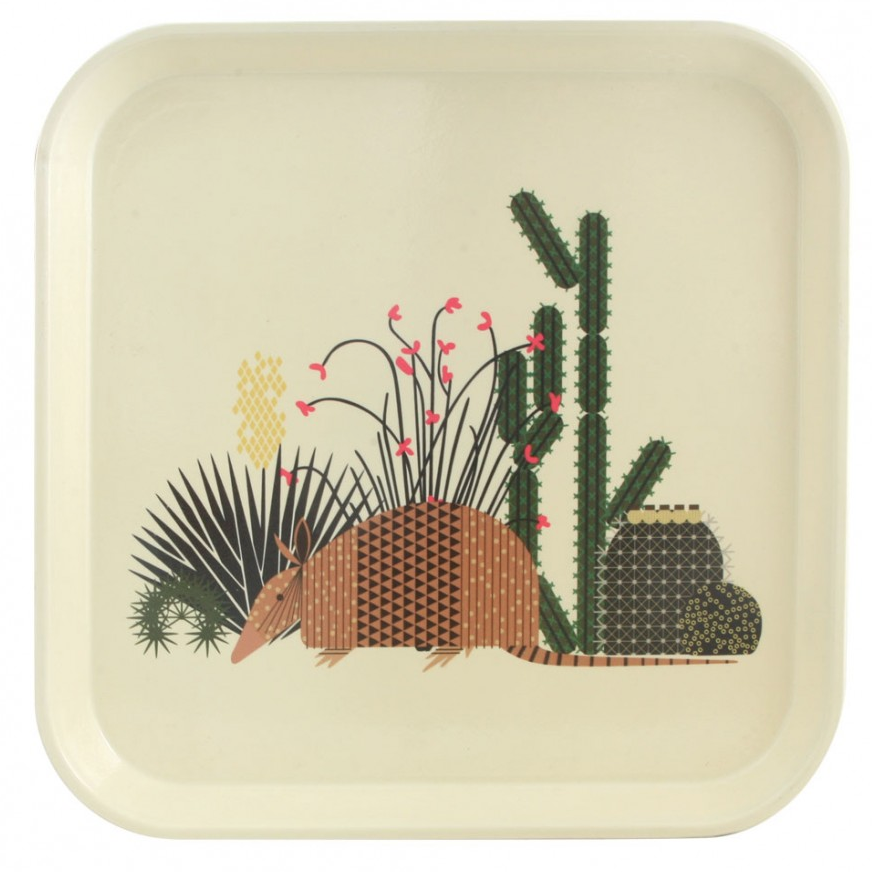 Cactus Tray