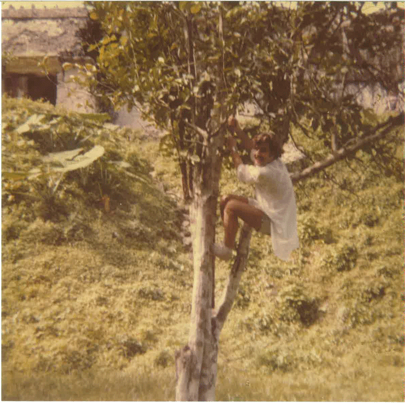 Campeche 1978