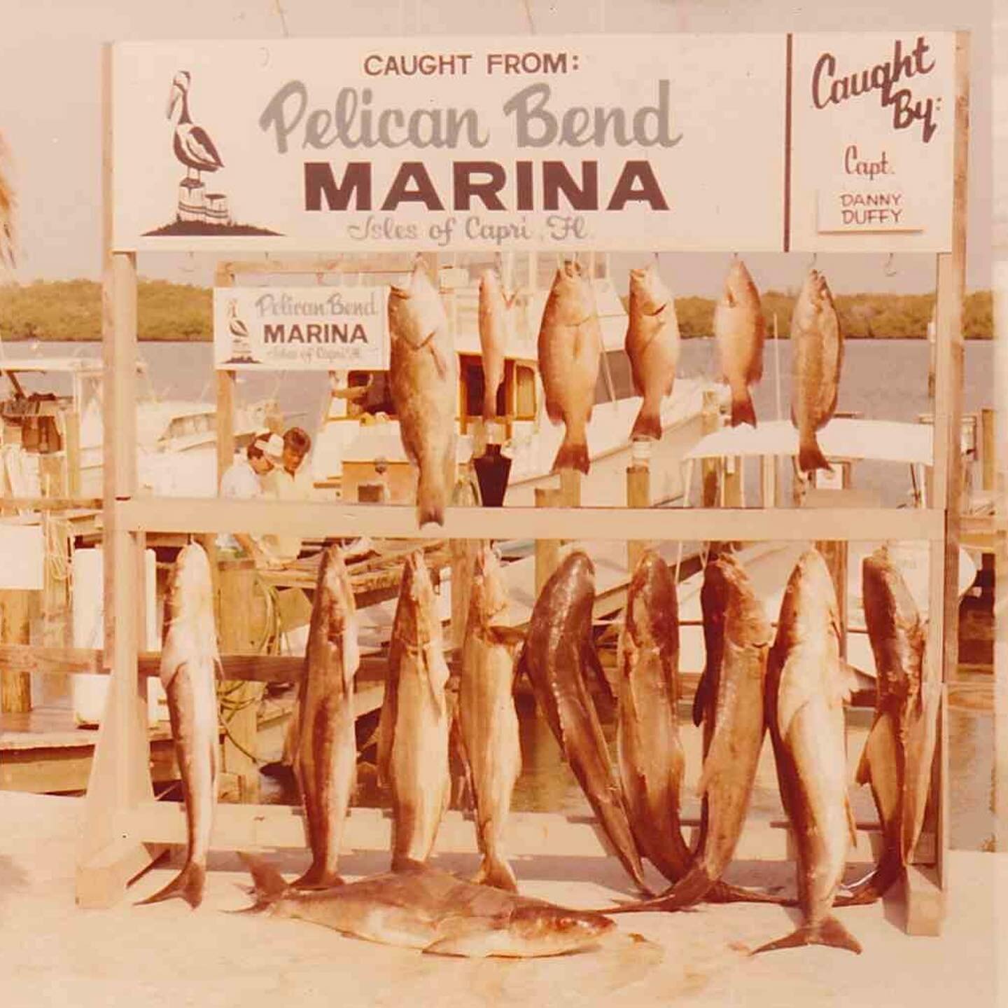 Throwback Thursday! 

1984 ➡️ 2021

Even after all of these years, captains are still bringing in amazing catches back to the dock!

#pelicanbend #islesofcapri #marcoisland #naplesfl