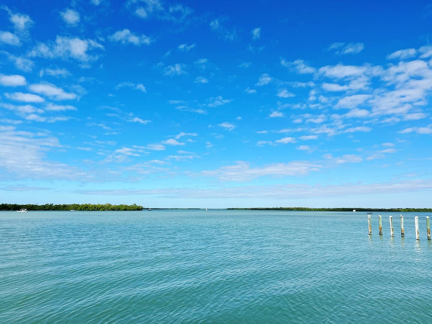 Spend your Saturday soaking up this view! #lovefl #staysaltyflorida #islesofcapri #marcoisland #naplesflorida