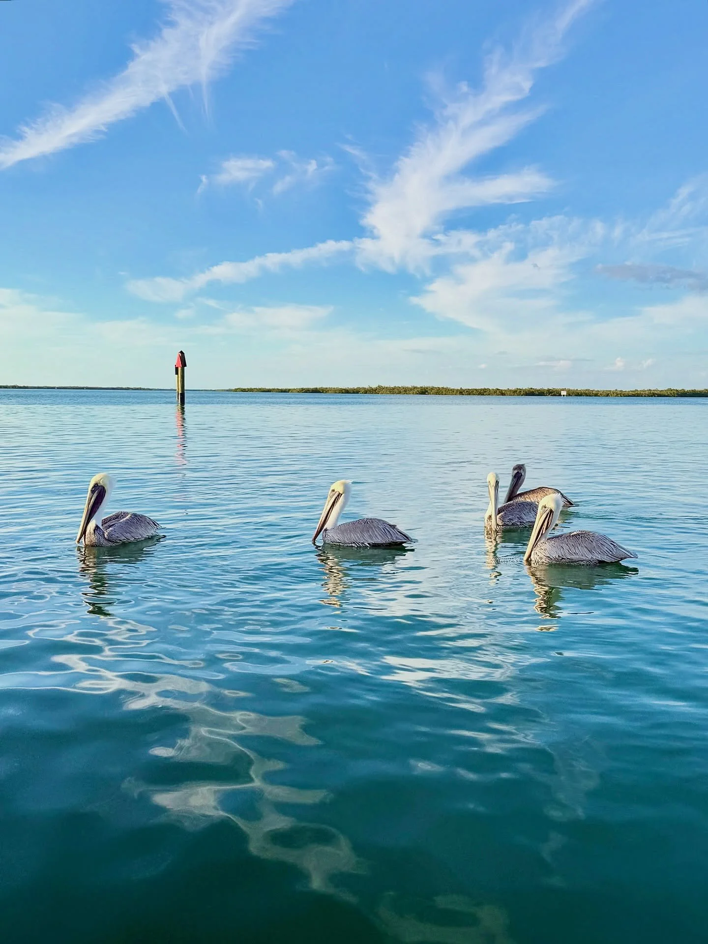 Cruise into the weekend with us and enjoy live music all weekend long! 

Wednesday: CJ Matthew, 4:30 - 7:30
Friday: Steel Pan Joey, 4:30 - 7:30
Saturday: James William, 5 - 8
Sunday: Scuba Cowboy, 4 - 7

#naplesfl 
#naplesflorida 
#pelicanbend
#isles