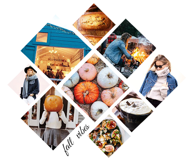 fall vibes.jpg