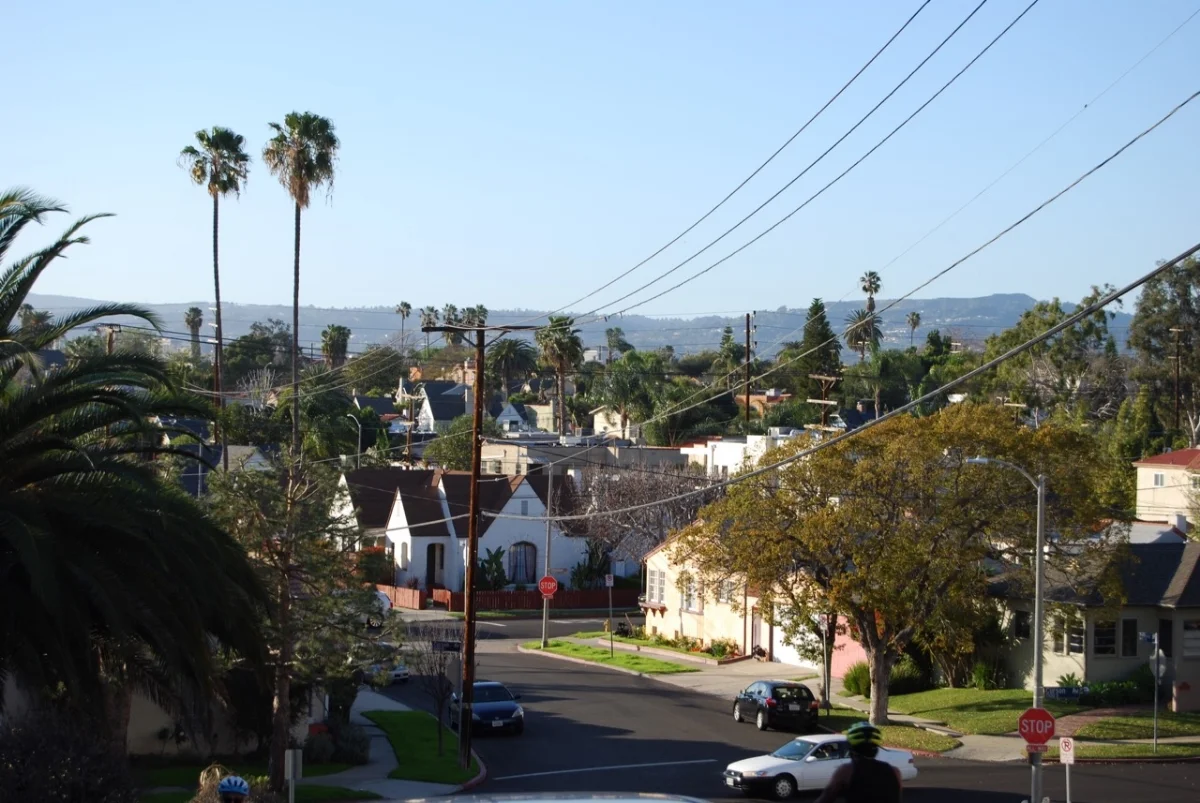 DSC_0212.jpg
