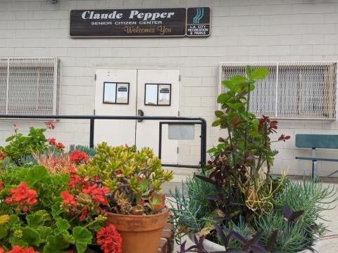   The Claude Pepper Senior Citizen Center has it ALL!!!    Fitness Exercise, Arts and Crafts, Performing Arts, Educational Tutor, Hobbies and Games, Clubs, and Special Events  