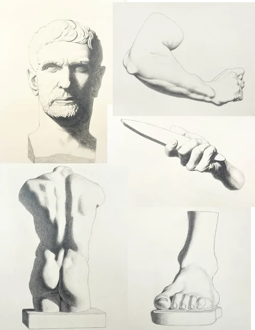 The Bargue Drawing Method — Susannah Figura