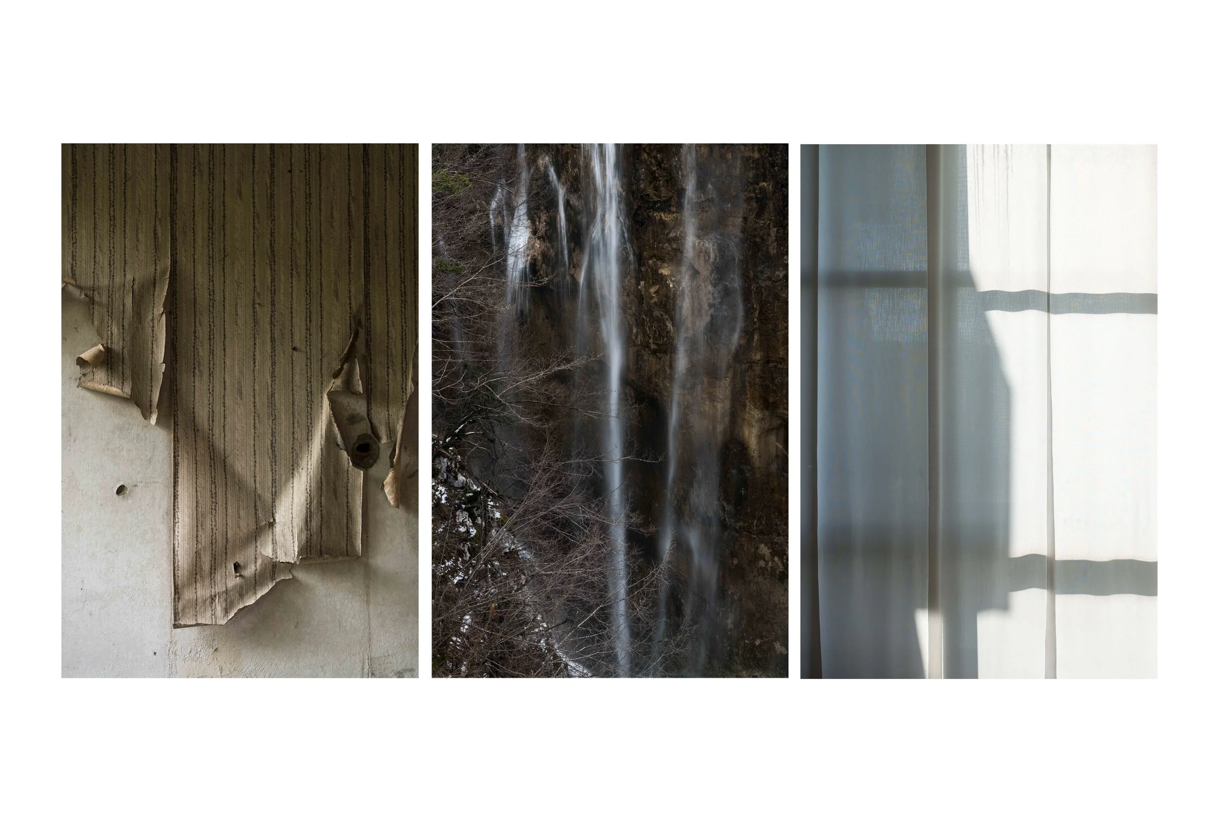 3 verticals.jpg