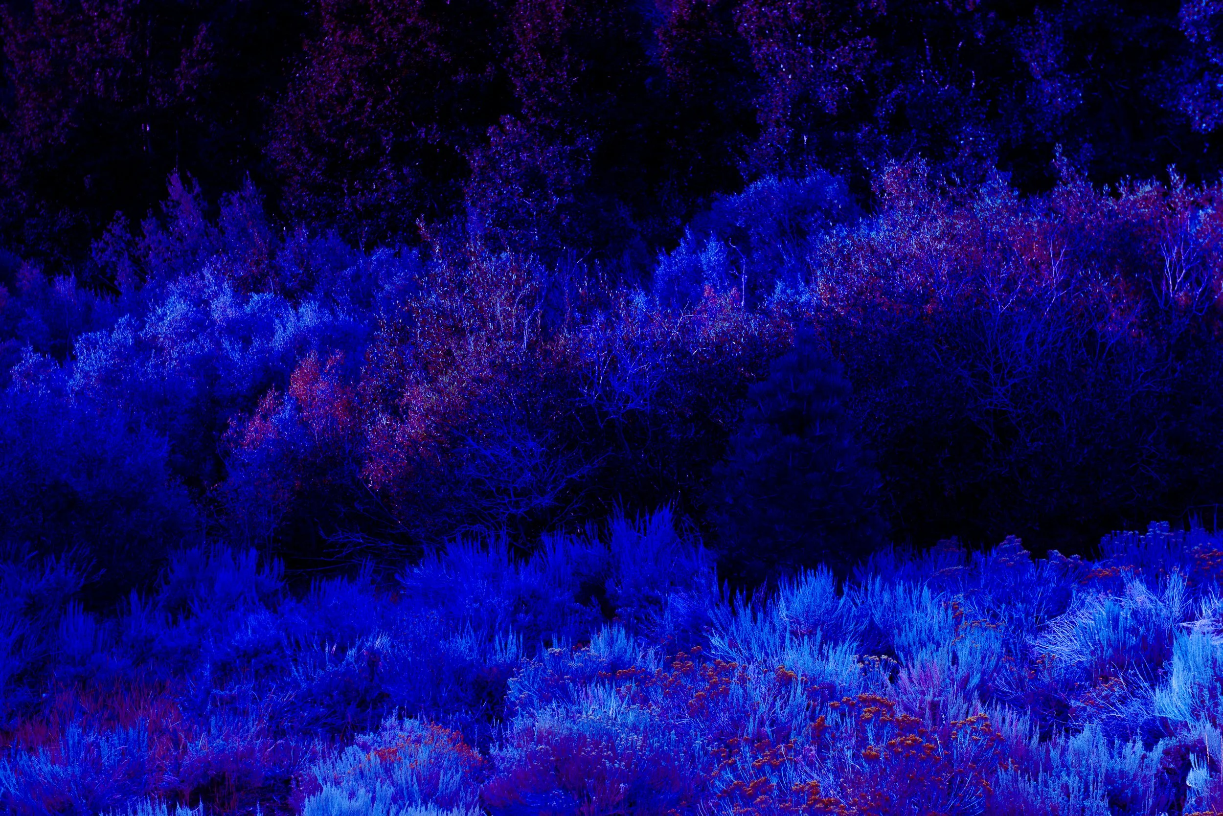 PhotoNicolo_150808_NIK8844-2.jpg